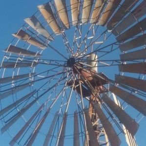 Meet your Posher, Annie